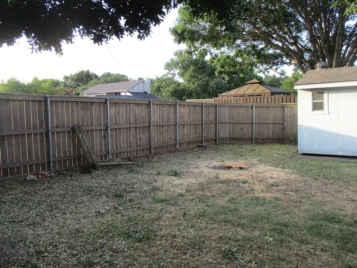 Cleared yard after professional tree removal in Dawson Springs